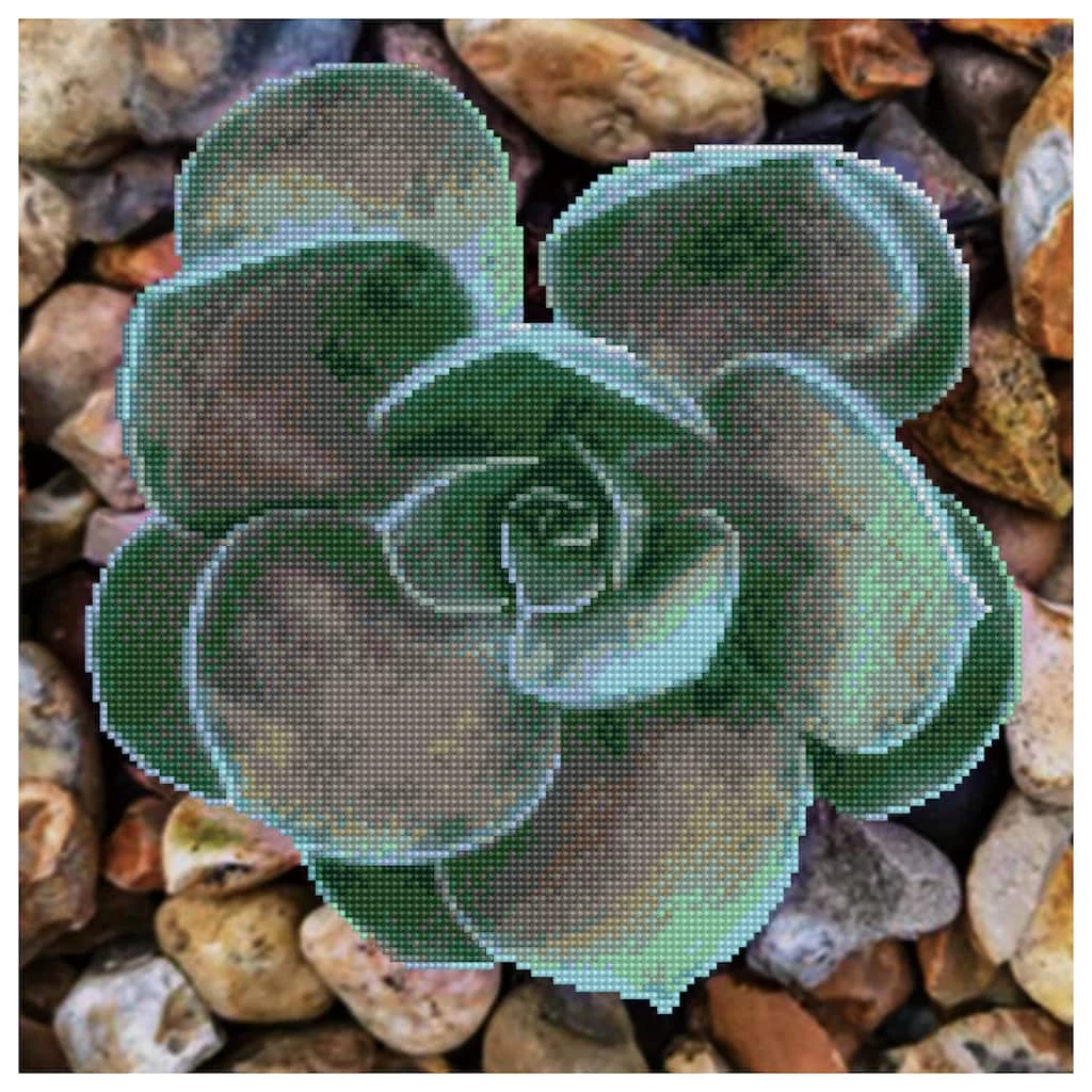 Hot Sale ๐ Diamond Dotz® Succulent Facet Art Kit ๐ 1 Hot Sale ๐ Diamond Dotz® Succulent Facet Art Kit ๐