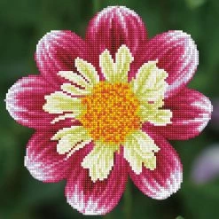 Cheap 🌟 Diamond Dotz® Daisy A Day Intermediate Art Kit 😉