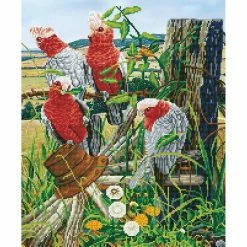 Buy ๐งจ Diamond Dotz® Galah Quartet Advanced Facet Art Kit ๐คฉ