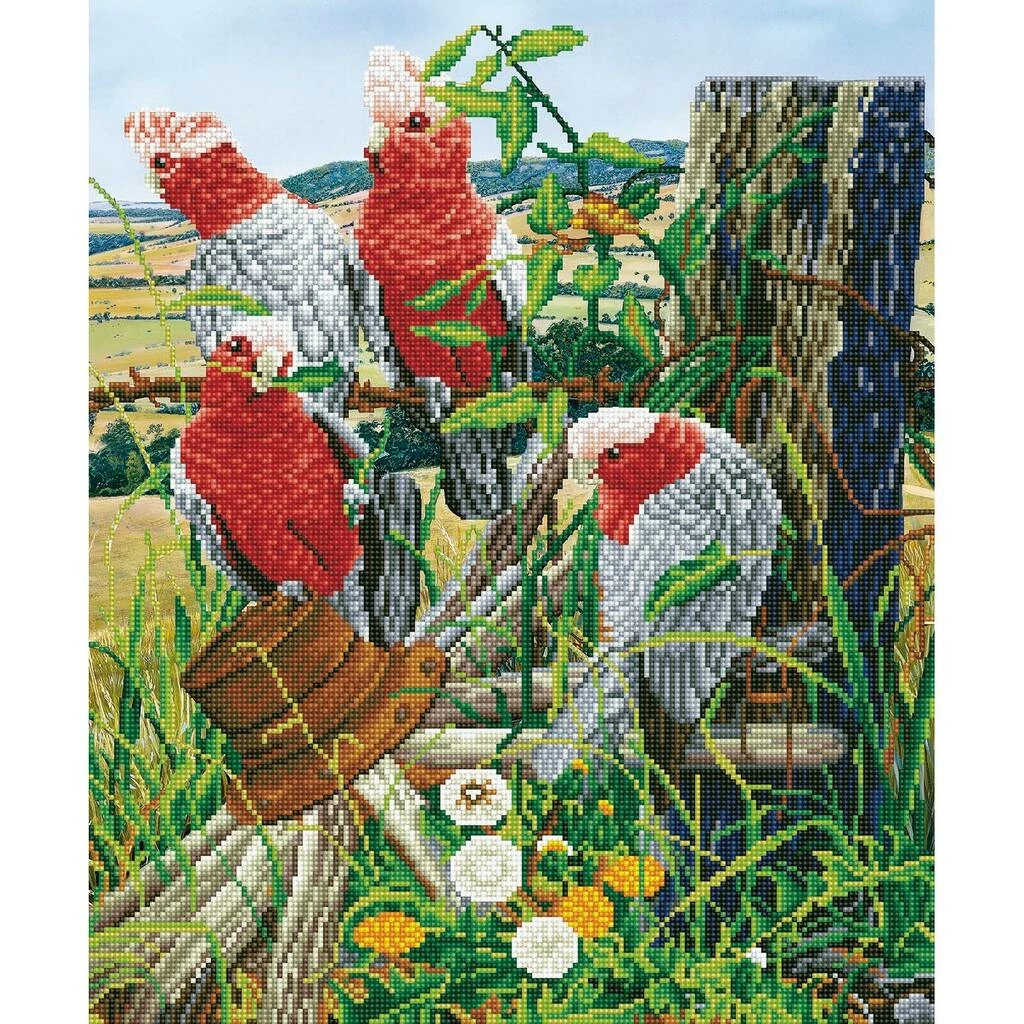 Buy ๐งจ Diamond Dotz® Galah Quartet Advanced Facet Art Kit ๐คฉ 1 Buy ๐งจ Diamond Dotz® Galah Quartet Advanced Facet Art Kit ๐คฉ