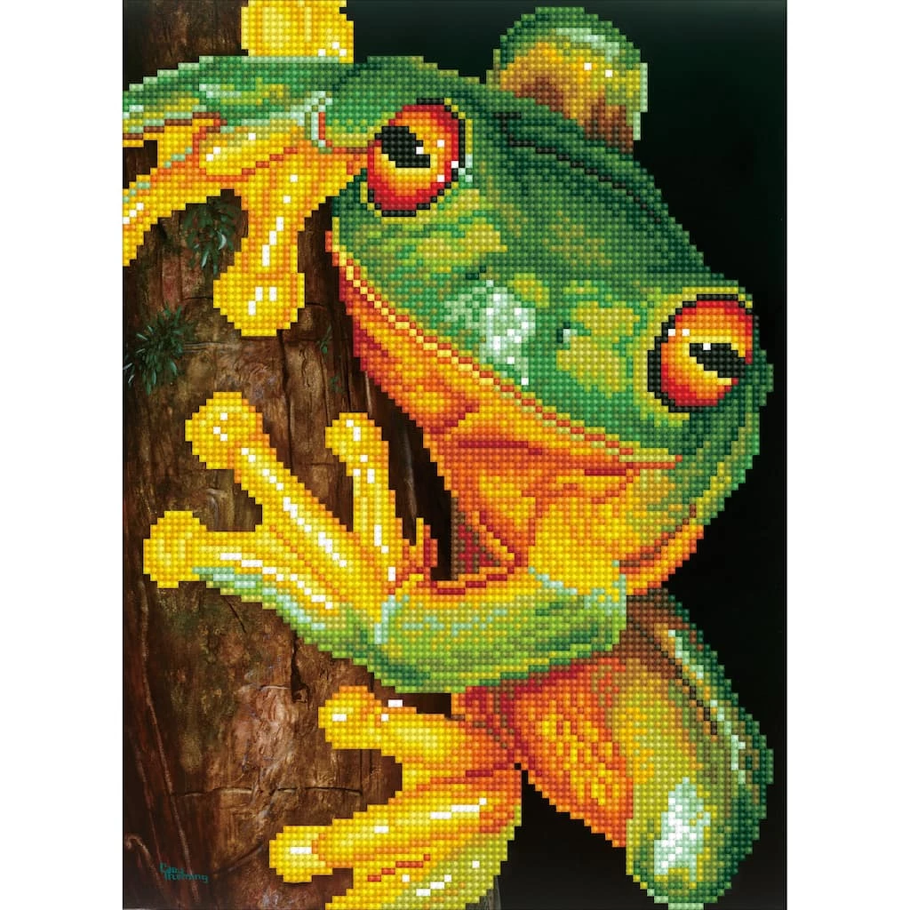 Promo 💯 Diamond Dotz® Green Tree Frog Pre-Framed Diamond Art Kit 😍 1 Promo 💯 Diamond Dotz® Green Tree Frog Pre-Framed Diamond Art Kit 😍