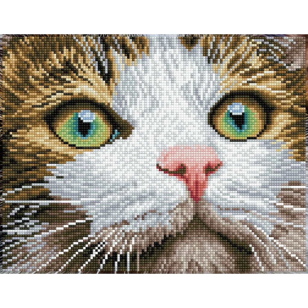 Wholesale ๐ Diamond Dotz® Green Eyed Beauty Pre-Framed Diamond Art Kit ๐ฏ 1 Wholesale ๐ Diamond Dotz® Green Eyed Beauty Pre-Framed Diamond Art Kit ๐ฏ