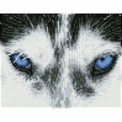 Top 10 🛒 Diamond Dotz® Pre-Framed Mystic Husky Facet Art Kit 🔔