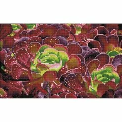 Best deal 😀 Diamond Dotz® Succulents Intermediate Facet Art Kit 🎉