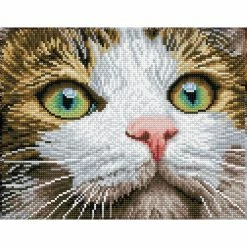 Wholesale ๐ Diamond Dotz® Green Eyed Beauty Diamond Painting Artwork Kit ๐ฅ