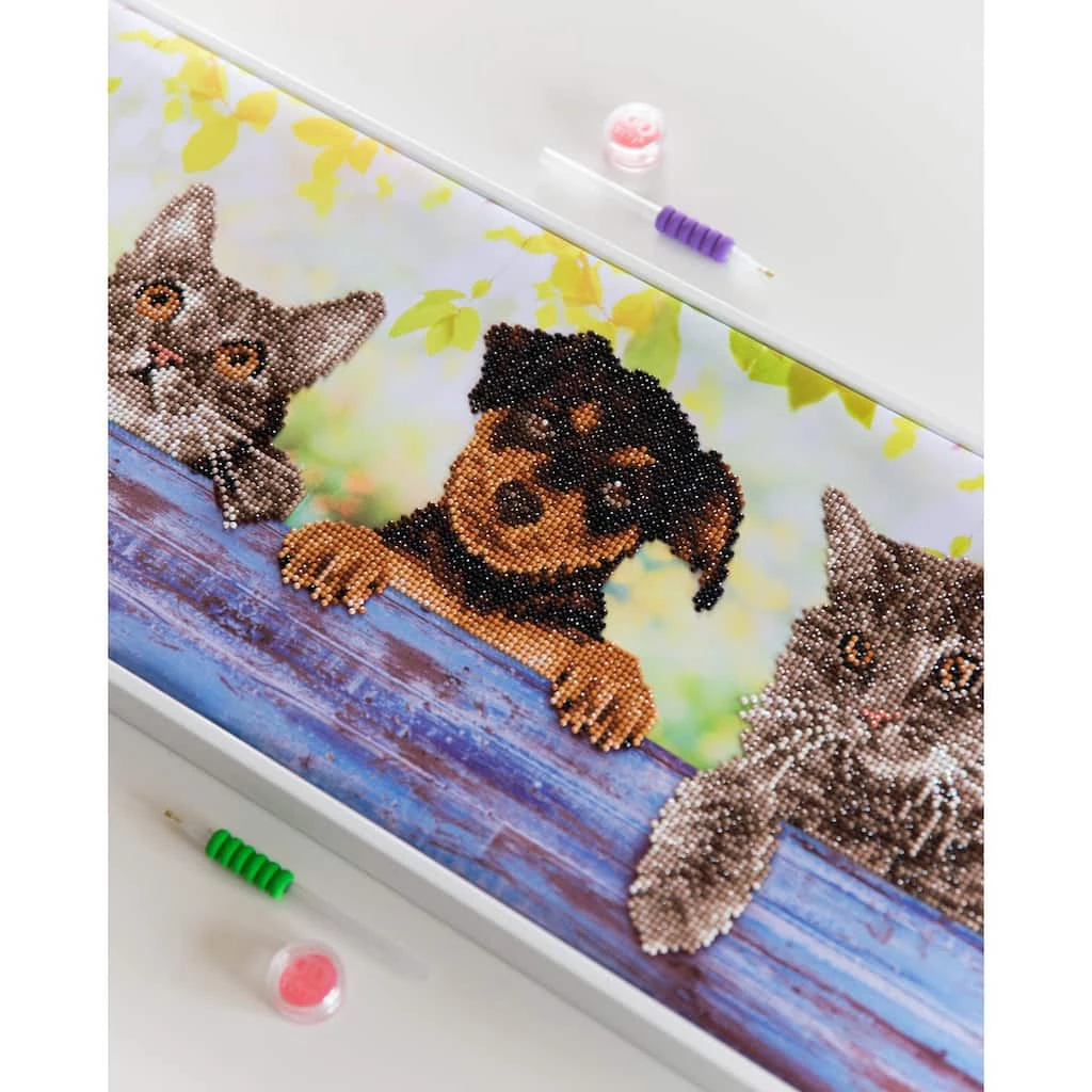 Best Sale ๐คฉ Diamond Dotz® Intermediate Level Hang in There Diamond Painting Kit ๐ 4 Best Sale ๐คฉ Diamond Dotz® Intermediate Level Hang in There Diamond Painting Kit ๐ - Image 4