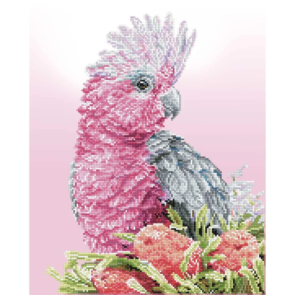Hot Sale ๐คฉ Diamond Dotz® Intermediate Pink Galah & Banksias Diamond Art Kit ๐ 1 Hot Sale ๐คฉ Diamond Dotz® Intermediate Pink Galah & Banksias Diamond Art Kit ๐
