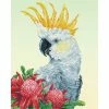 Wholesale 🧨 Diamond Dotz® Intermediate White Cockatoo & Waratahs Diamond Art Kit 😀