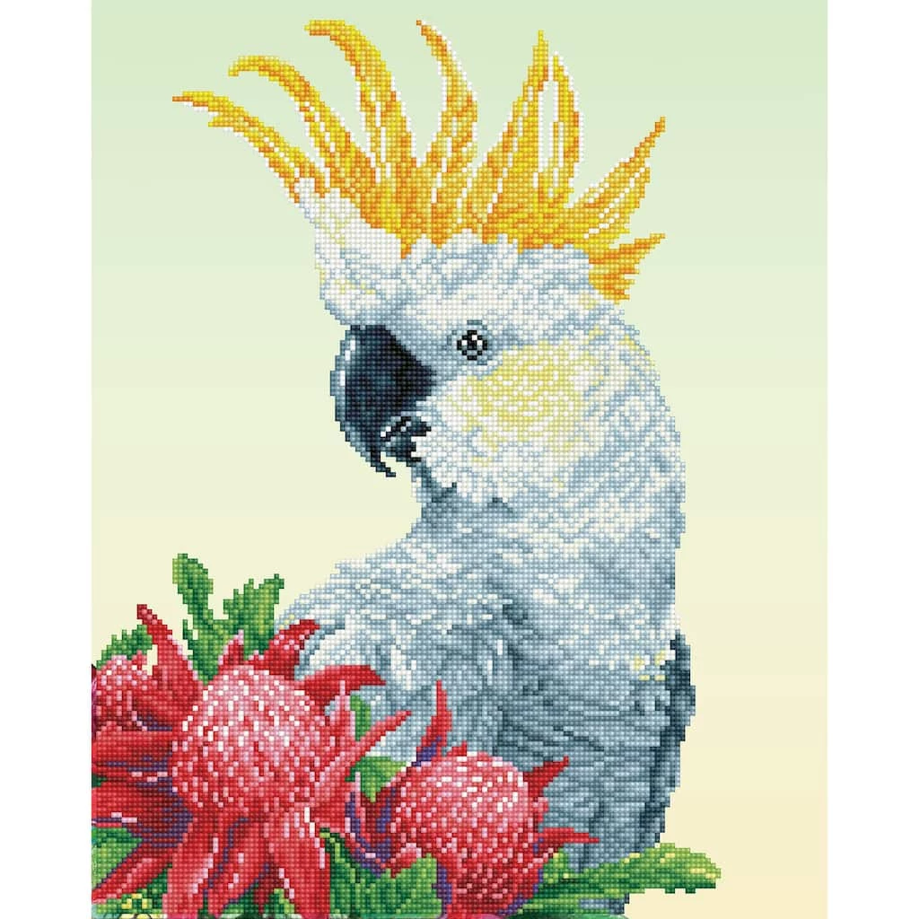 Wholesale ๐งจ Diamond Dotz® Intermediate White Cockatoo & Waratahs Diamond Art Kit ๐ 1 Wholesale ๐งจ Diamond Dotz® Intermediate White Cockatoo & Waratahs Diamond Art Kit ๐
