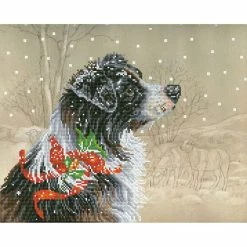 Budget ๐ Diamond Dotz® Intermediate ๐
Christmas Collie Diamond Painting Kit โ๏ธ