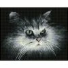Best Sale ❤️ Diamond Dotz® Intermediate Shadow Cat Diamond Painting Kit 👏