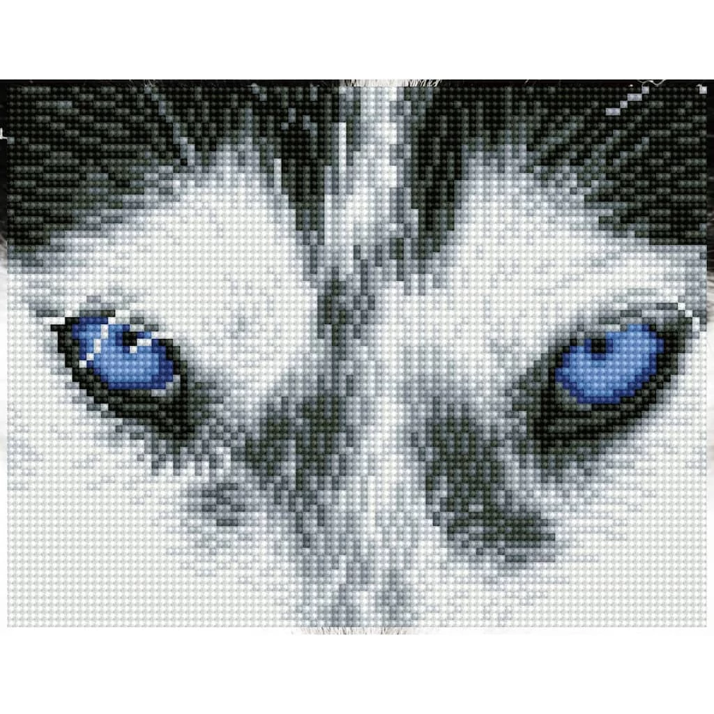 New 🔥 Diamond Dotz® Intermediate Mystic Husky Diamond Painting Kit ⌛ 1 New 🔥 Diamond Dotz® Intermediate Mystic Husky Diamond Painting Kit ⌛