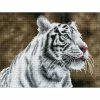 Coupon ✔️ Diamond Dotz® Intermediate Tiger Blanc Diamond Painting Kit 🔔