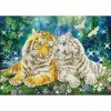 Top 10 🎁 Diamond Dotz® Intermediate Tiger Smooch Diamond Painting Kit ✨