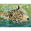 New 🎉 Diamond Dotz® Intermediate Jungle Prince Diamond Painting Kit ⌛
