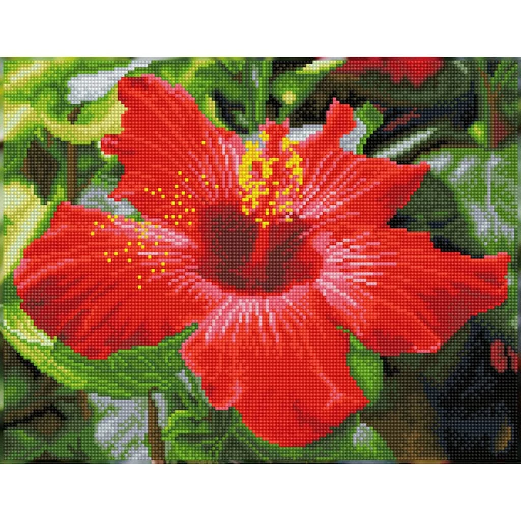 Discount ⭐ Diamond Dotz® Intermediate Hibiscus in Bloom Diamond Painting Kit 👏 1 Discount ⭐ Diamond Dotz® Intermediate Hibiscus in Bloom Diamond Painting Kit 👏