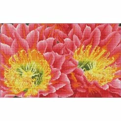 Brand new ๐ Diamond Dotz® Intermediate Desert Blooms Diamond Painting Kit โ๏ธ