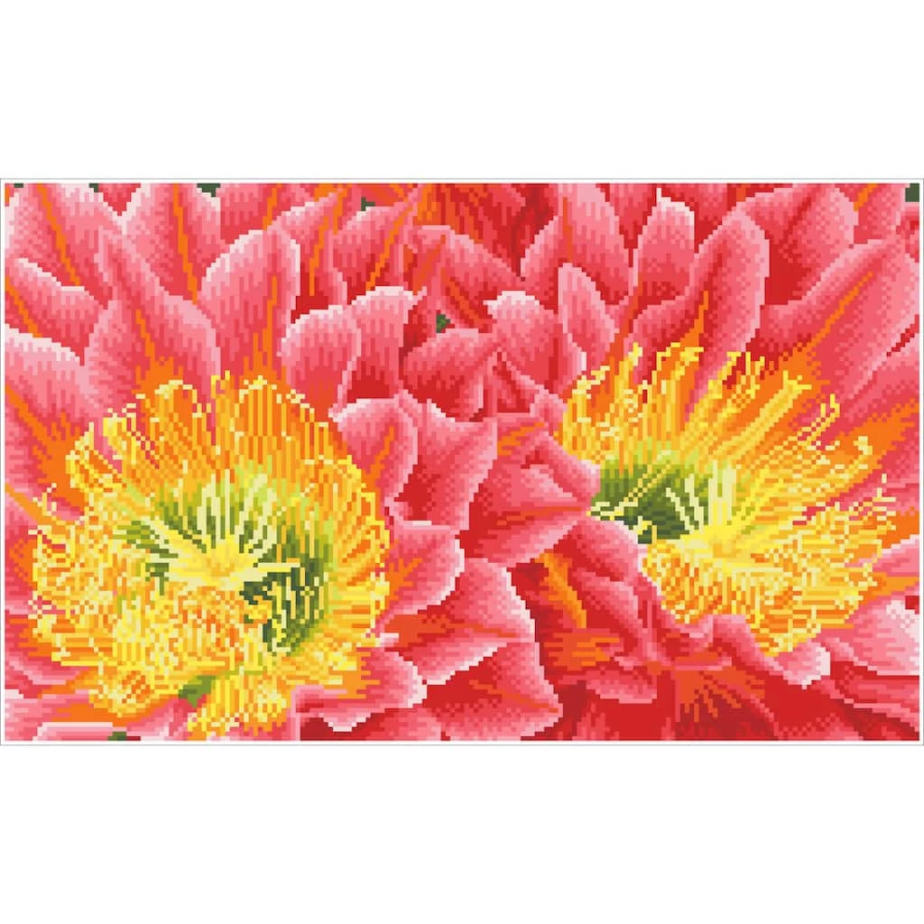 Brand new ๐ Diamond Dotz® Intermediate Desert Blooms Diamond Painting Kit โ๏ธ 2 Brand new ๐ Diamond Dotz® Intermediate Desert Blooms Diamond Painting Kit โ๏ธ - Image 2
