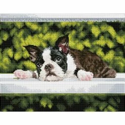 New 💯 Diamond Dotz® Intermediate Boston Blues Diamond Art Painting Kit 🔥