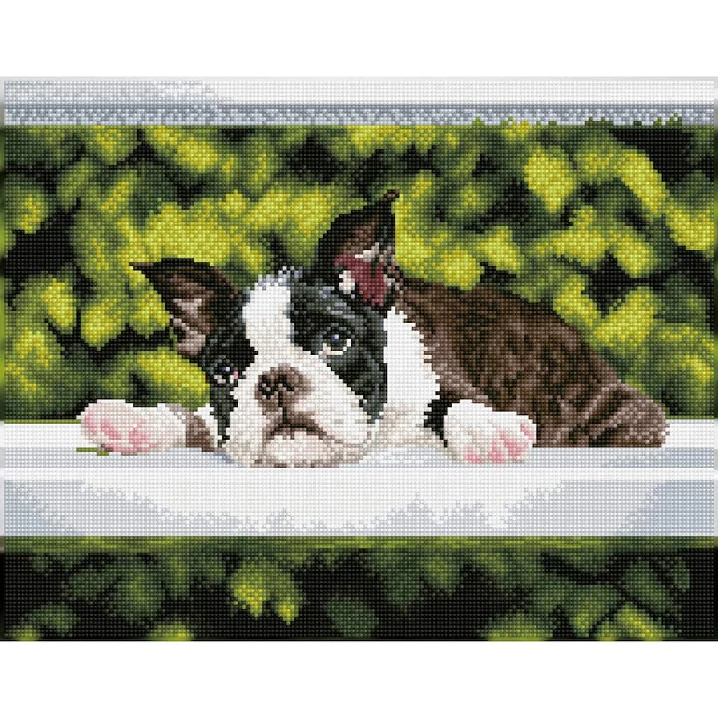 New ๐ฏ Diamond Dotz® Intermediate Boston Blues Diamond Art Painting Kit ๐ฅ 2 New ๐ฏ Diamond Dotz® Intermediate Boston Blues Diamond Art Painting Kit ๐ฅ - Image 2