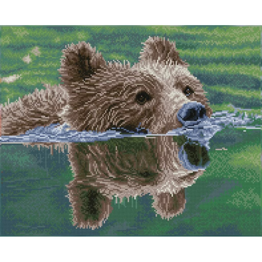 Outlet ๐ Diamond Dotz® Intermediate Grizzly Swim Diamond Art Painting Kit ๐ 2 Outlet ๐ Diamond Dotz® Intermediate Grizzly Swim Diamond Art Painting Kit ๐ - Image 2
